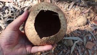 365 Days How I Survival, Cooking And Building In The Rain Forest - Full Video