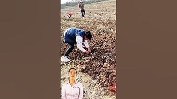 #fcnfm FCNFM Rotary Tillers: Your Key to Successful Land Management