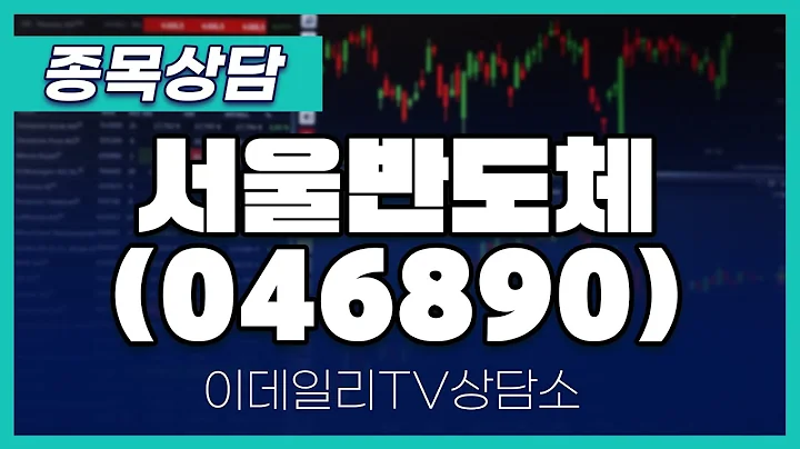 서울반도체(046890) - 종목상담 문현진 멘토 (20240923)
