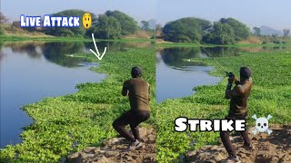 River Giant's SNAKEHEAD Tricked To Catch ☠️ | | तलाश एक बडे दानव कि | #vlogs #villagefishing #murrel