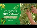 معصره مرو الحديثة - اربد طريق مرو حريما... زيت زيتون بكر بلدي 2022