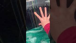 Satisfying Ice Breaker 流 #ice #icebreaking #icebreaker #satisfyingvid...