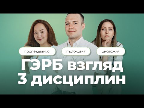 ГЭРБ (гастроэзофагеальная рефлюксная болезнь) — взгляд 3 дисциплин | Анатомия, гистология, пропед