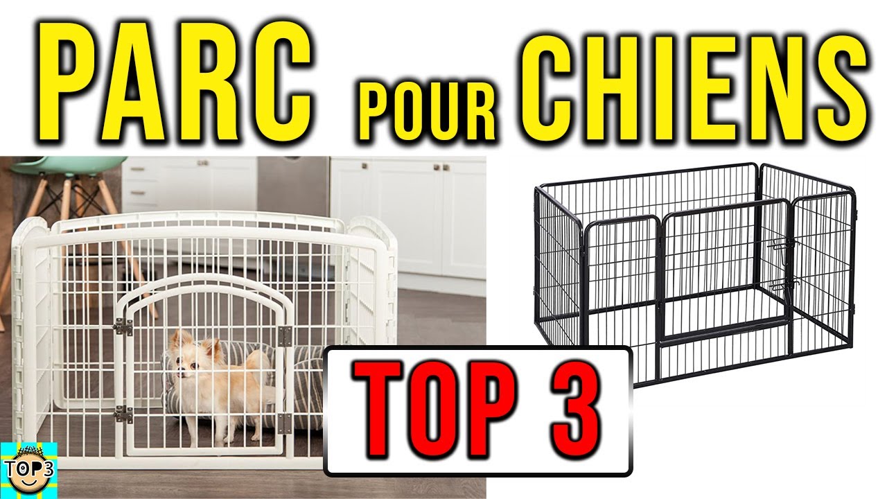 TOP3 ▻ Meilleur PARC pour CHIENS Intérieur ou Extérieur (2021) ✓ 