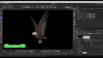 Realistic Animated Bald Eagle
