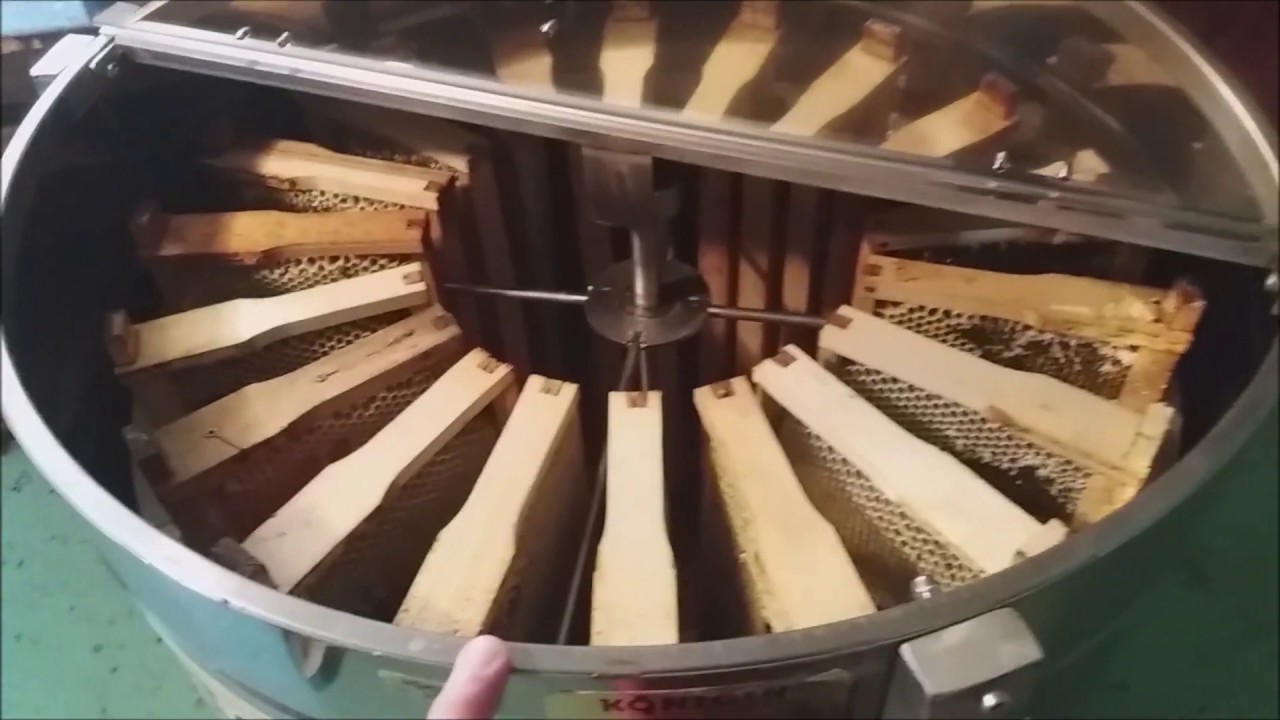 Centrifuga radiala 20 rame Konigin - Extractie rapita timpurie 26 Aprilie 2020