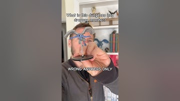 What is this Dungeons & Dragons monster? Wrong answers only #dnd #dnd5e #dungeonsanddragons #dndmeme