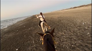 حققت حلمي واشتريت حصان أحلامي 😭🐎🧲 عندنا تفكك أسرى 😳