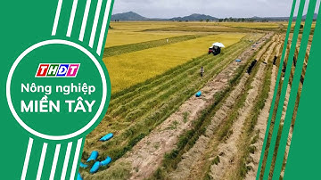 Toàn cảnh Nông nghiệp - 27/12/2024 | Nông nghiệp Miền Tây