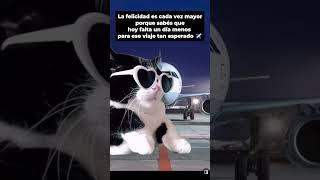 Pov Faltan Días Para Tu Próximo Viaje