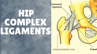 Ligaments of hip complex- ( With applied aspects)