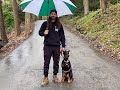Pittsburgh Dog Whisperer Trains a Fear Reactive 6 Month Doberman