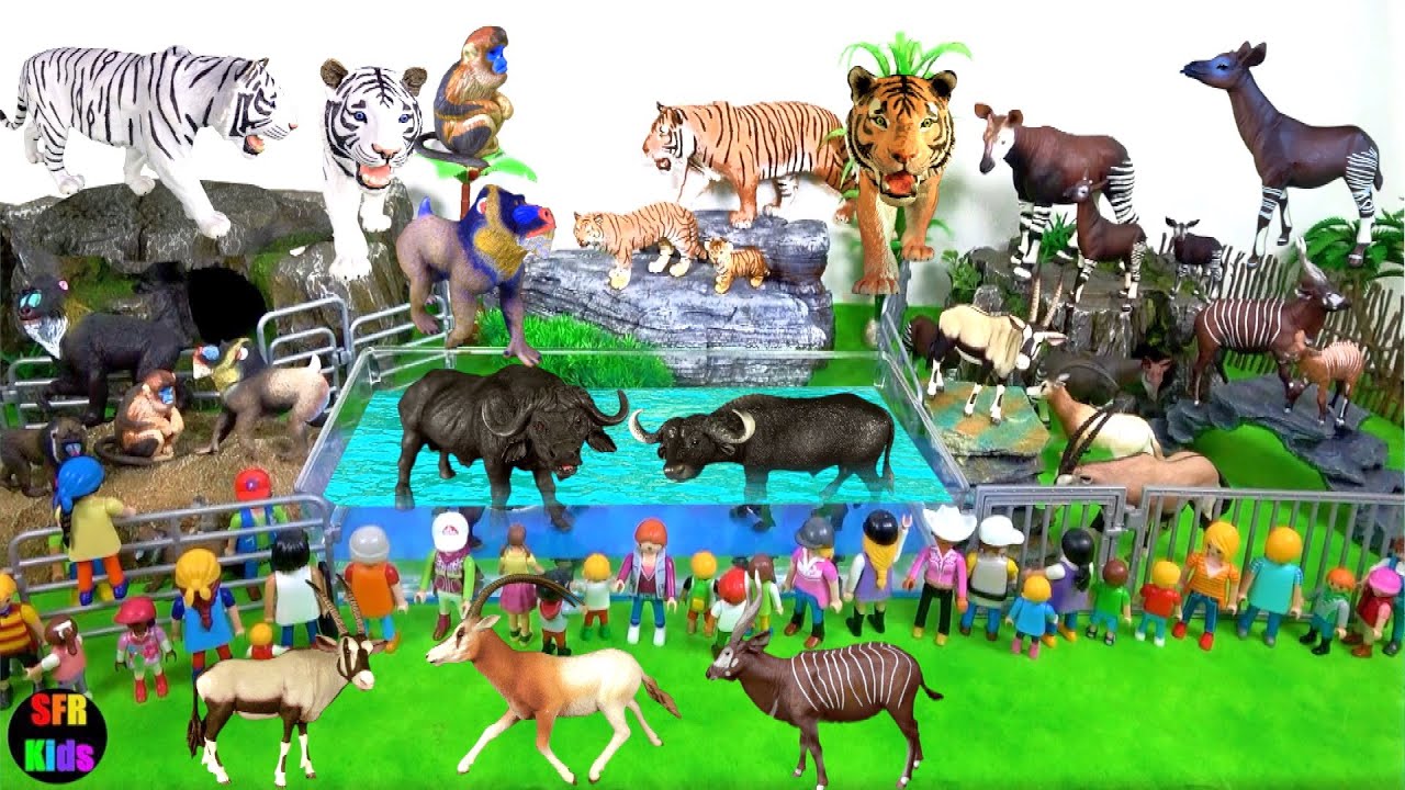 Animals - Tiger Monkey Okapi Buffalo Oryx Okapi Bongo SFR KIDS - YouTube