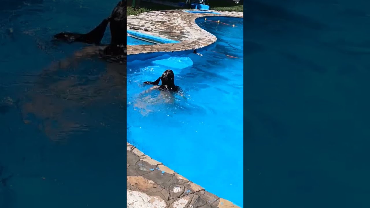 HOLIS LES DEJO UN VIDEITO DE QUE FUI A UNA PISCINA 
