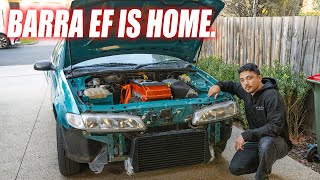 The Barra EF Is Home.. Here's Why...