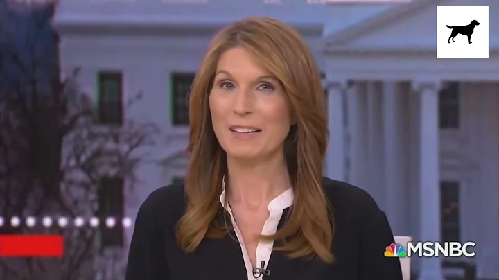 The Typhoid Mary of Disinformation: Nicolle Wallace