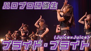 ハロプロ研修生『プライド・ブライト』LIVE（Hello! Project 研修生発表会 2025 9月 「It's Harvest Season !」）