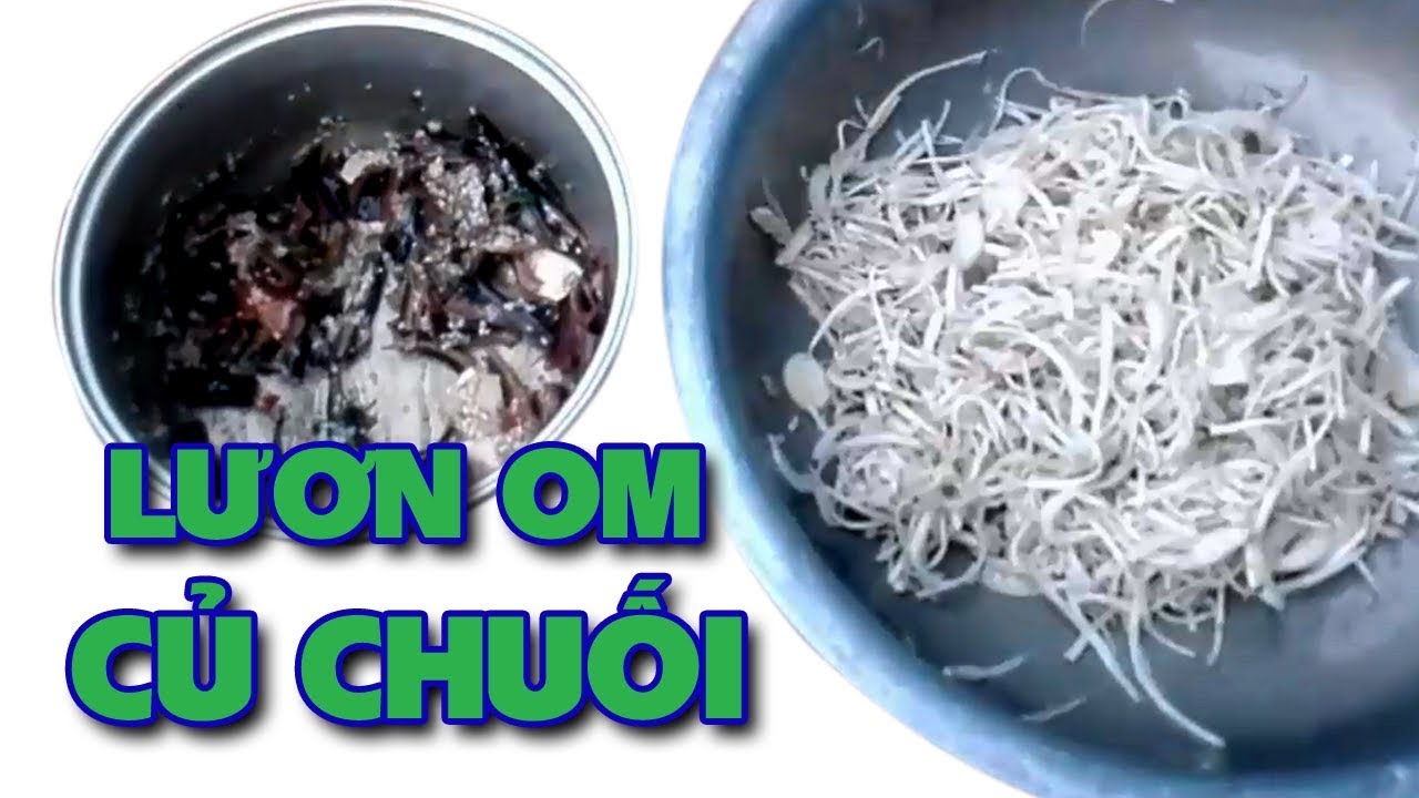 Hướng dẫn Cách nấu lươn om chuối – Cách Làm Món Lươn Om Củ Chuối Đơn Giản Nhưng Rất Ngon