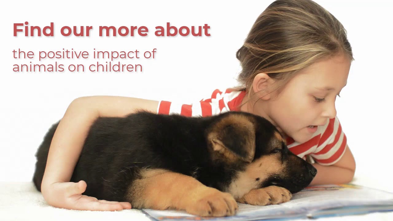 [Blog] Four ways animals improve children’s development Practical