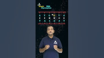 Why DNA Contains Thymine Instead Of Uracil? | Unveiling the Genetic Code Mystery #shorts #neet2024