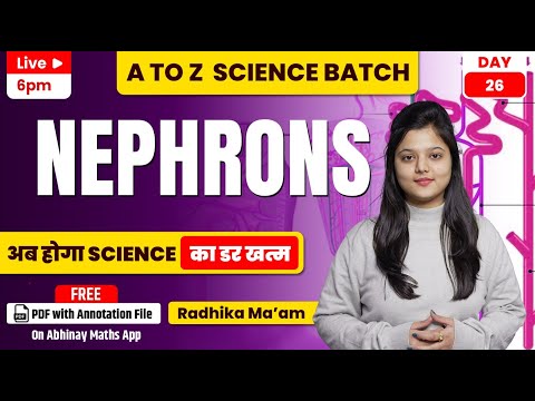 SSC Science | Nephrons | All SSC Exams | Day-26 | A to Z Batch | Radhika Ma'am @sscabhinaymaths
