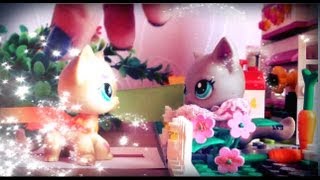 ♥ Littlest Pet Shop: Красотка (2 сезон 10 серия) ♥