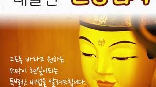 삼재팔란 소멸  용띠.쥐띠.원숭이띠. 삼재띠