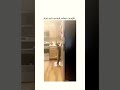 dog #trendingshorts #trending #funnyshorts #animals #funnyvideo #funnydog's #animals