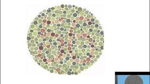 Qt DevDays 2008 - Styling Qt Applications: Oliver Goffart