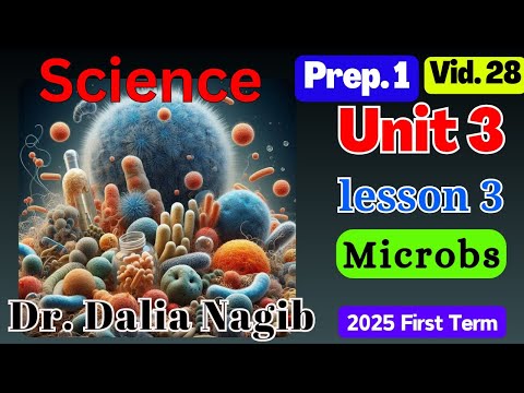 ساينس أولي أعدادي المنهج الجديد الترم الاول 𝟐𝟎𝟐𝟓 𝐒𝐜𝐢𝐞𝐧𝐜𝐞 𝐏𝐫𝐞𝐩 𝟏 𝐔𝐧𝐢𝐭 𝟑 𝐥𝐞𝐬𝐬𝐨𝐧 𝟑 𝐌𝐢𝐜𝐫𝐨𝐛𝐞𝐬 ساينس أولي أعدادي المنهج الجديد الترم الاول 𝟐𝟎𝟐𝟓 𝐒𝐜𝐢𝐞𝐧𝐜𝐞 𝐏𝐫𝐞𝐩 𝟏 𝐔𝐧𝐢𝐭 𝟑 𝐥𝐞𝐬𝐬𝐨𝐧 𝟑 𝐌𝐢𝐜𝐫𝐨𝐛𝐞𝐬