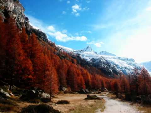 Commix - Tracking You (Full)