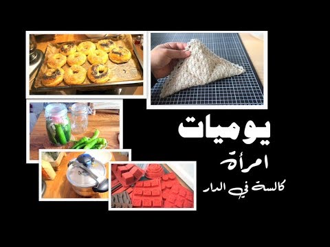 فيديو: حاويات إبداعية للعصارة - استخدام حاويات مثيرة للاهتمام للحدائق النضرة