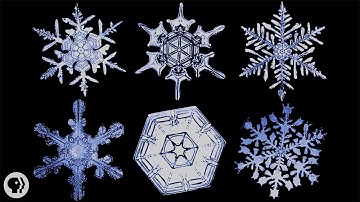 The Science of Snowflakes