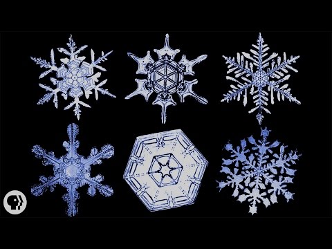 Video: Why Are Snowflakes Different