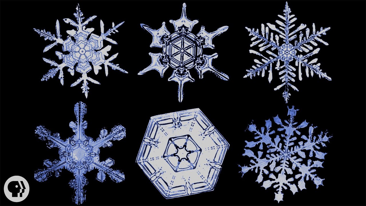 Image result for snowflakes