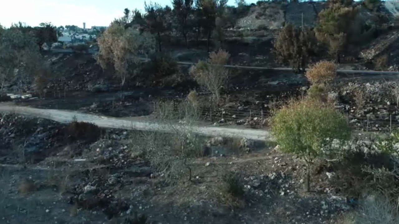 בין הקורונה למשבר הכלכלי: תושבי נוף הגליל אוספים את השברים שהותירה השריפה