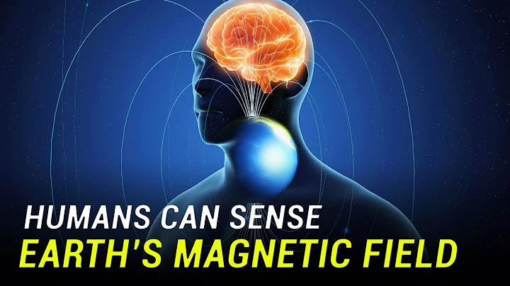 Humans Can Sense Earth’s Magnetic Field - DayDayNews