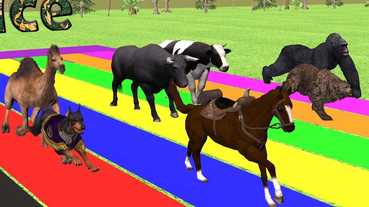 Incredible Animal Race, Dog, Horse, Gorilla, Camel, Roar Racing - YouTube