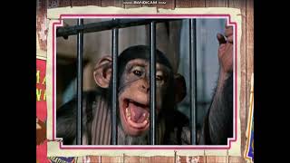 Disney Pedia Dumbo My First Circus Part 6