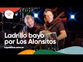 Ladrillo Bayo por Los Alonsitos en Jesús María - Festival País 2022