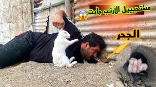 بلش الخير ولانتاج الكوكتيل فقس😉والأرنب جابت بس شوفو شلووووون😱