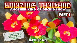 Part 1 - A Vibrant Journey with Global Vendors: Second Year Anniversary Orchid Enchantment.