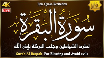 سورة البقرة كاملة لحفظ وتحصين المنزل وطرد الشياطين - تلاوة عذبة هادئة - Surah Al Baqarah Full