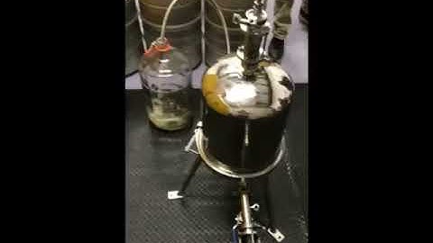 Lenticular Filtration Music Video