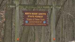 Human hand found by dog in Staten Island came from cemetery: Sources