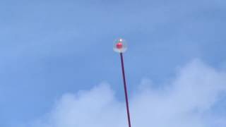 Len Lye sculpture - Wind Wand - Gibbs Farm, NZ