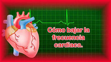 ¿Cómo puedo reducir mi frecuencia cardiaca en reposo?