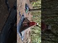 Solo Hiking Bulu Baria #mountaincamping #hiking #campingberdua #pendakigunung #solohiking