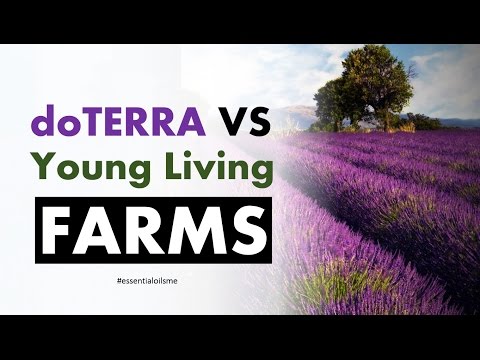 Young Living Vs Doterra Comparison Chart