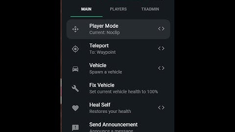 How to enable the TXadmin menu